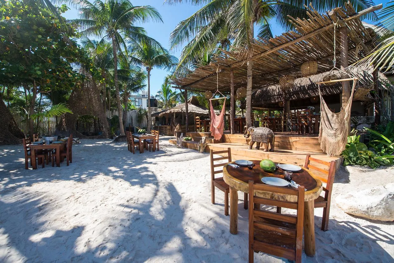 Bejuco Otel Tulum