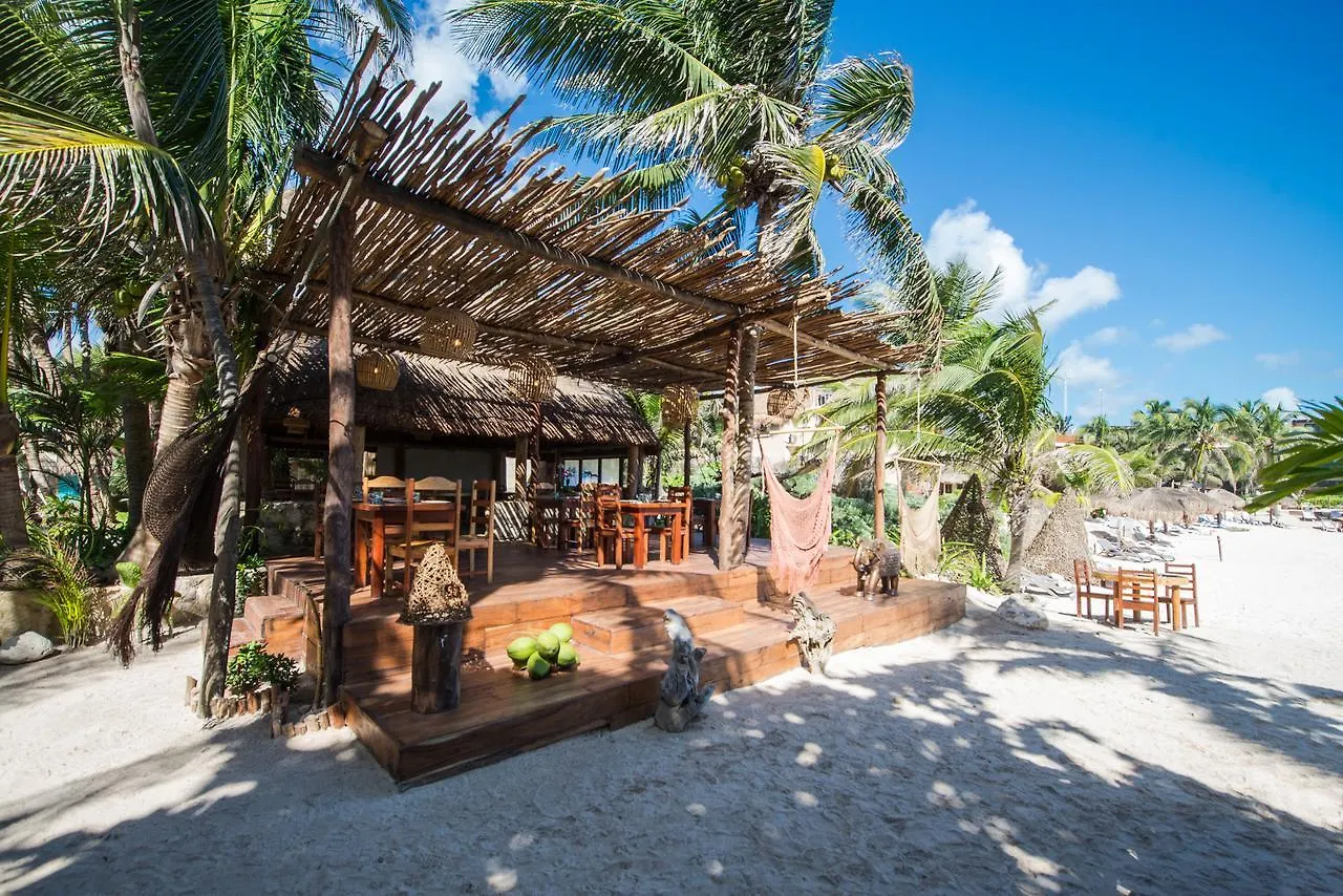 Bejuco Otel Tulum